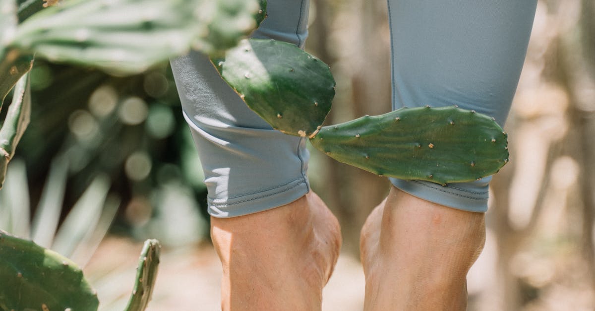 How to Accessorise Your Free Standing Wardrobe for Maximum Impact