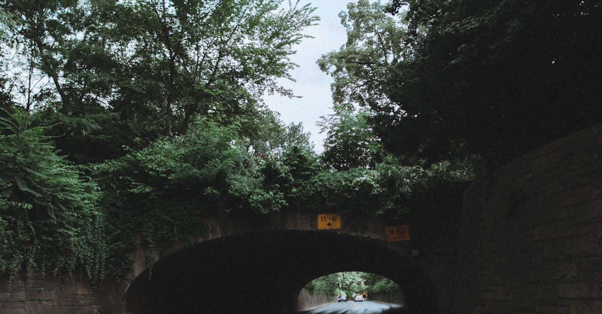 How to Create a Luxurious Feel in Your Walk-In Wardrobe