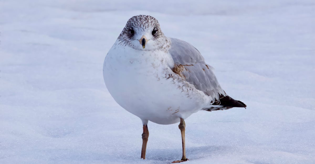 Review of Affordable Free Standing Wardrobe Options for Students