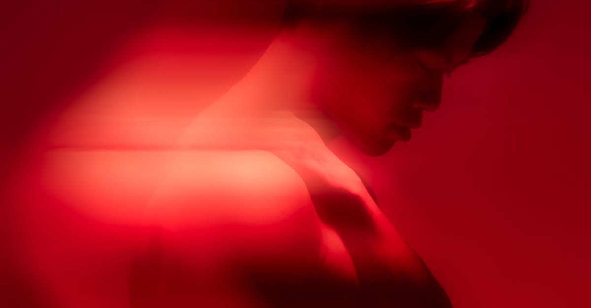 Review of Component Options for Walk-In Wardrobe Systems