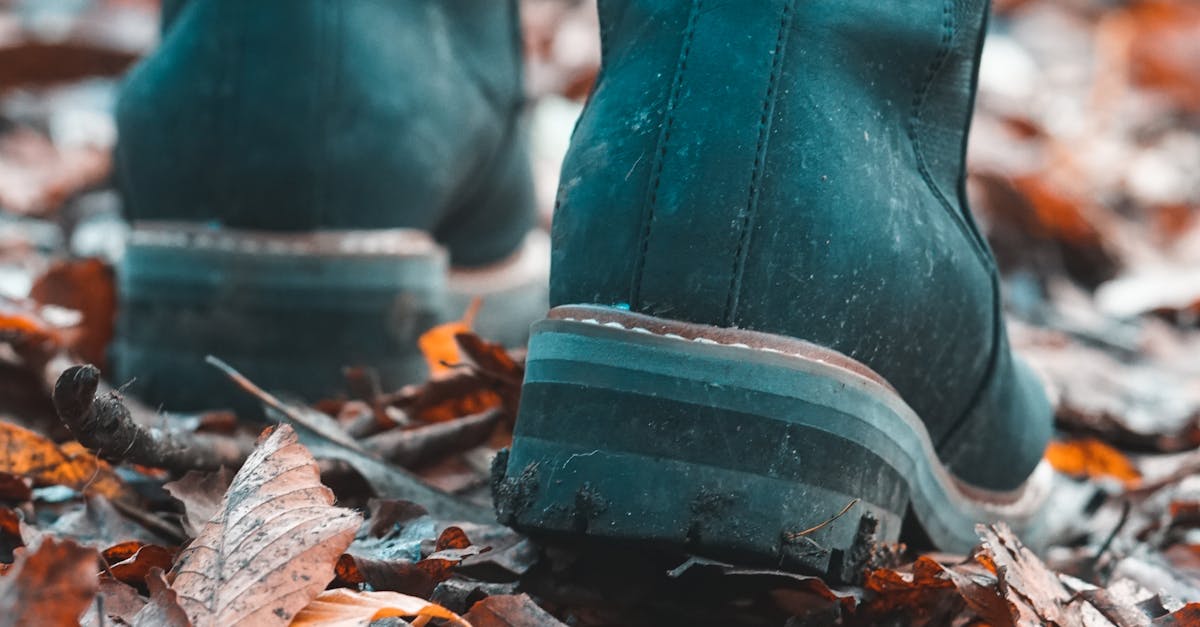 Review of Innovative Storage Solutions for Custom Built-In Wardrobes