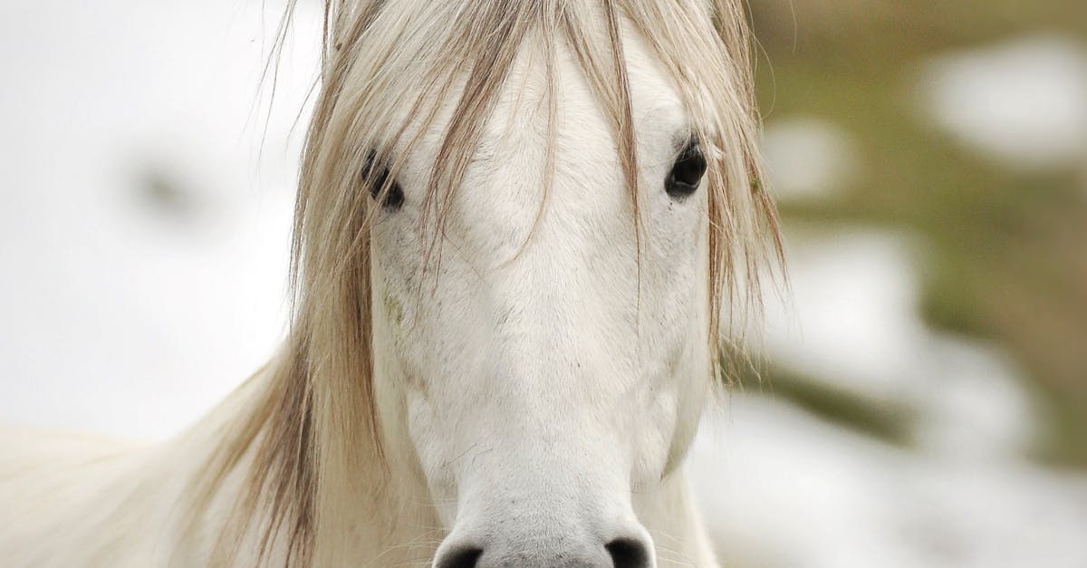 Round Up of Free Standing Wardrobes Popular Among Minimalists