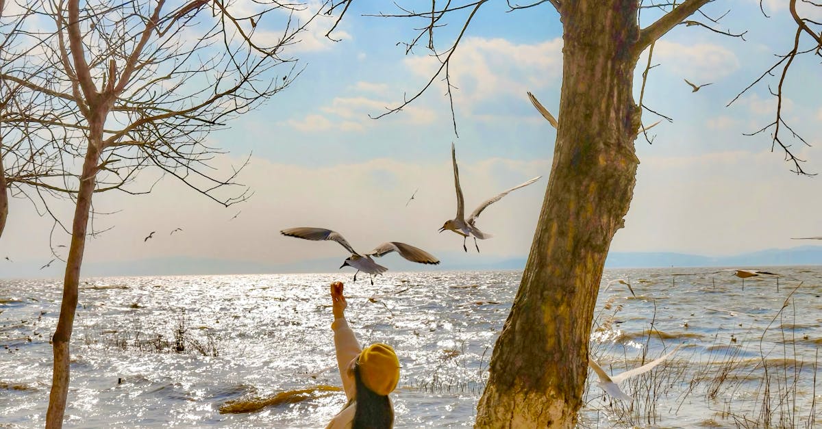 Round Up of Stylish Free Standing Wardrobes for Every Budget