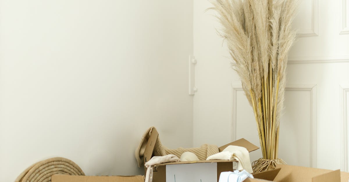 What Materials Are Best for Corner Wardrobes?