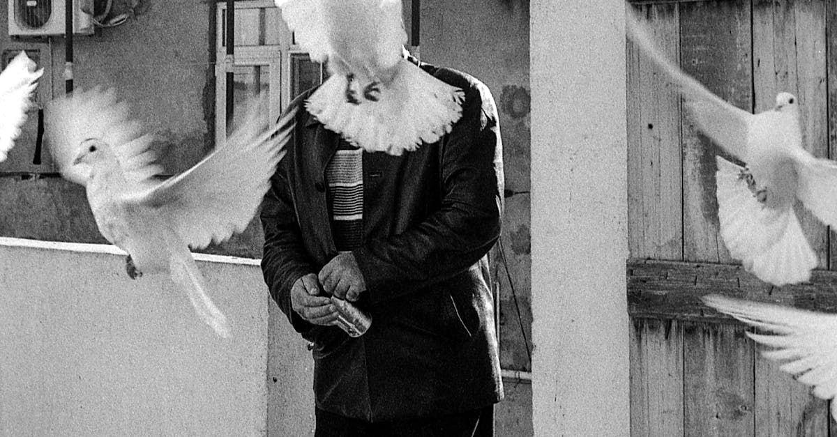 What Type of Material is Best for a Free Standing Wardrobe?