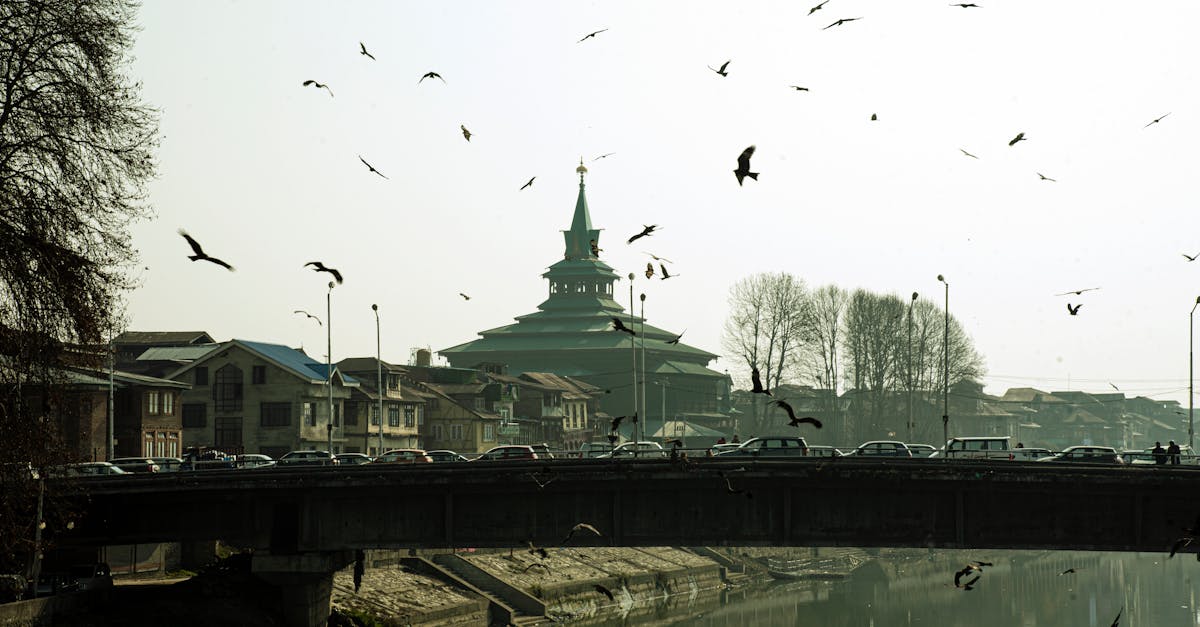 What’s the Difference Between a Walk-In and Reach-In Wardrobe