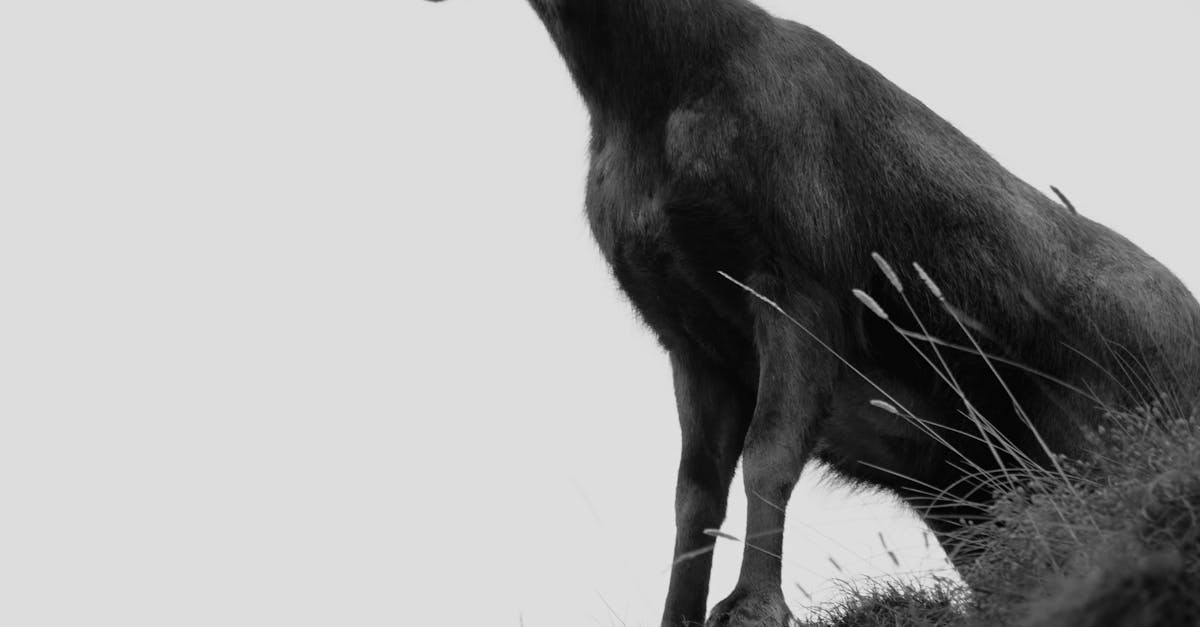 Why Seasonal Wardrobe Organisation is Easier with Free Standing Units